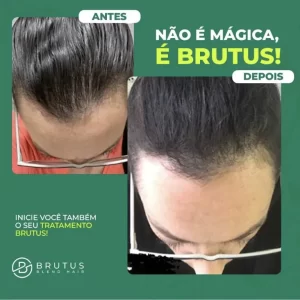 brutus-blend-hair-1-mes.jpeg